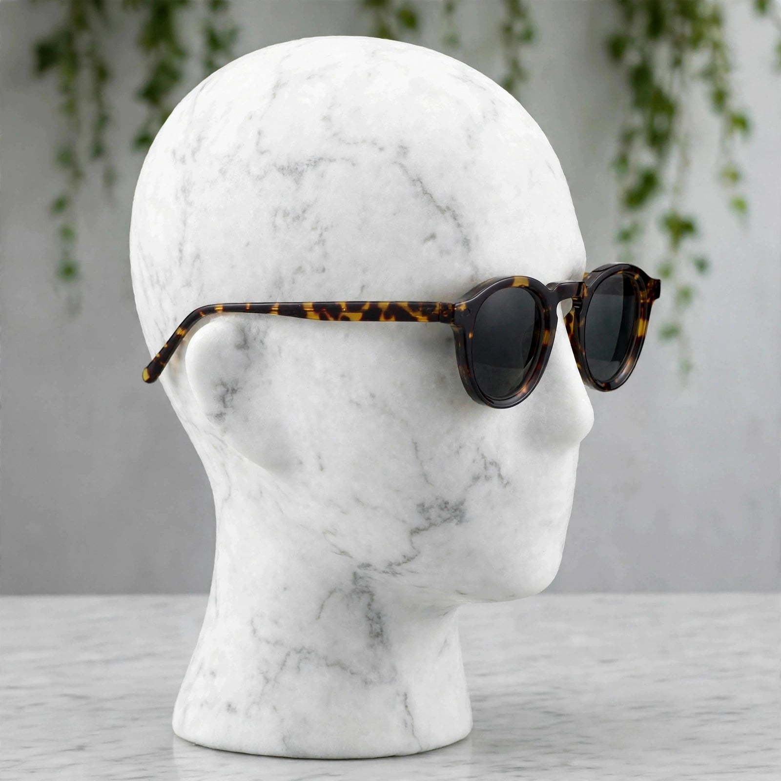 Mercer Montrose Sunglasses