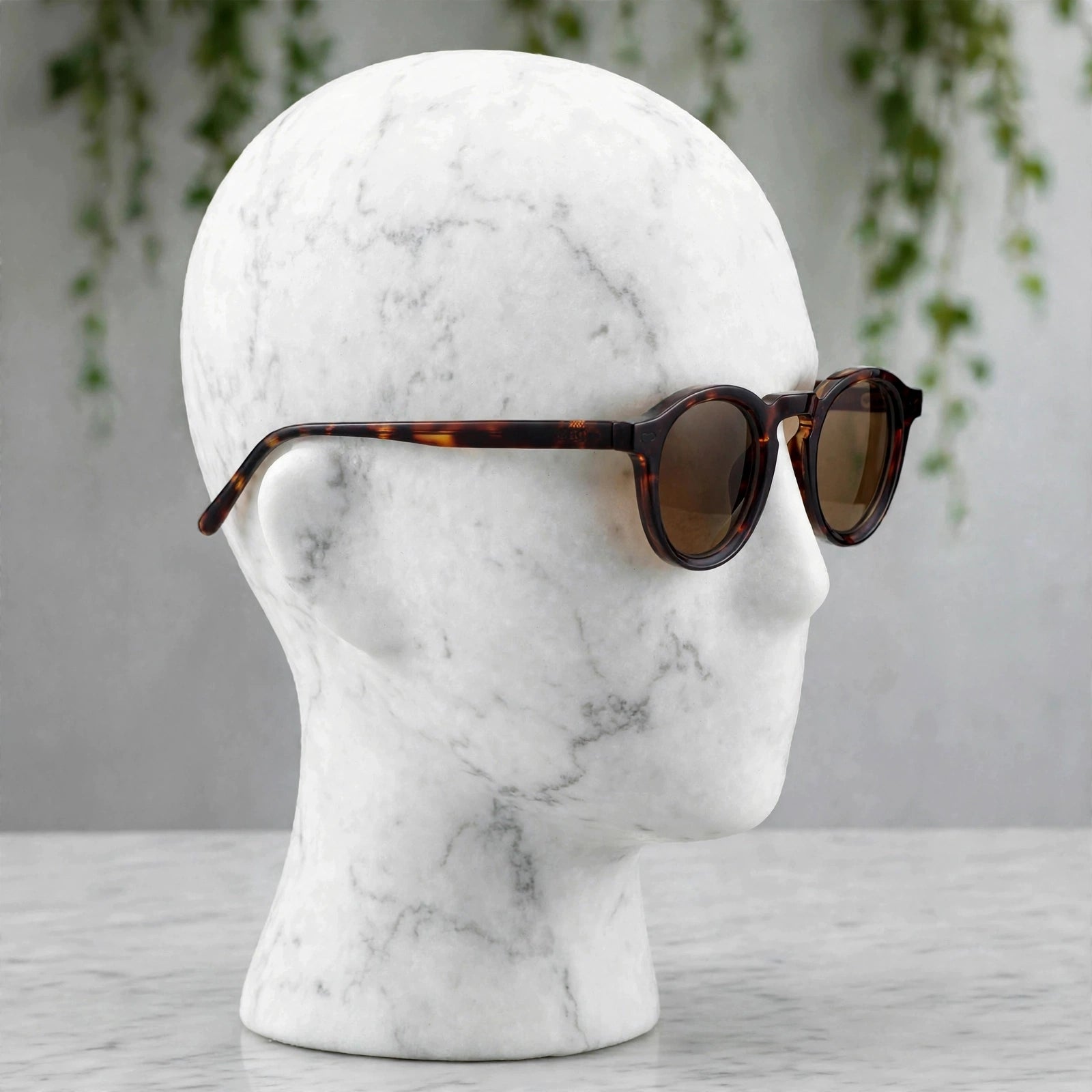 Mercer Montrose Sunglasses