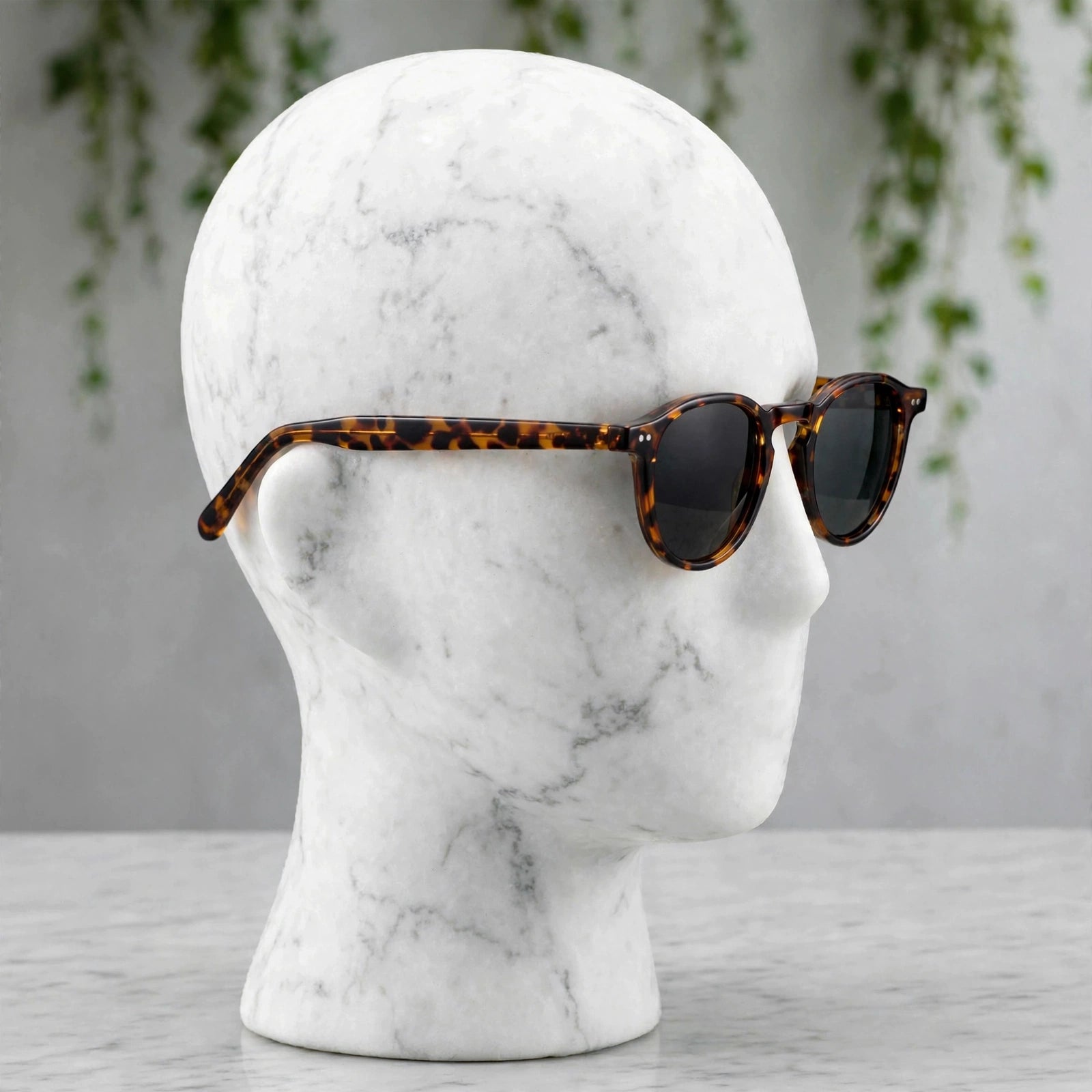 Sola Terra Sunglasses